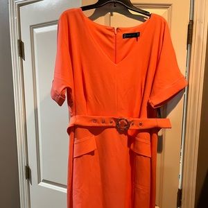 NWT Belted dress
